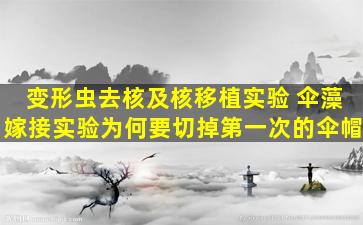 变形虫去核及核移植实验 伞藻嫁接实验为何要切掉第一次的伞帽